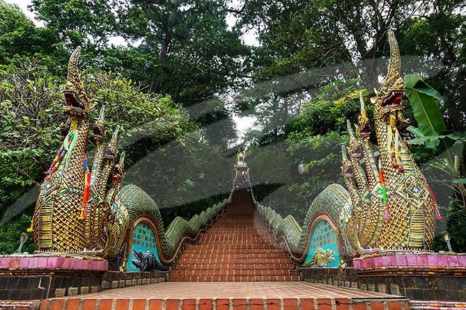 Wat Doi Suthep Temple and White Meo Hilltribe Village Half-Day Tour from Chiang Mai - Timing, Crowd Feel, and How to Pick the Right Departure