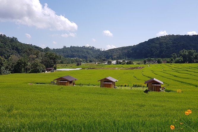 Wow! Doi Inthanon National Park Adventure, Lunch & Entry Included - Ban Mae Klang Luang: Karen Hill-Tribe Village and Coffee