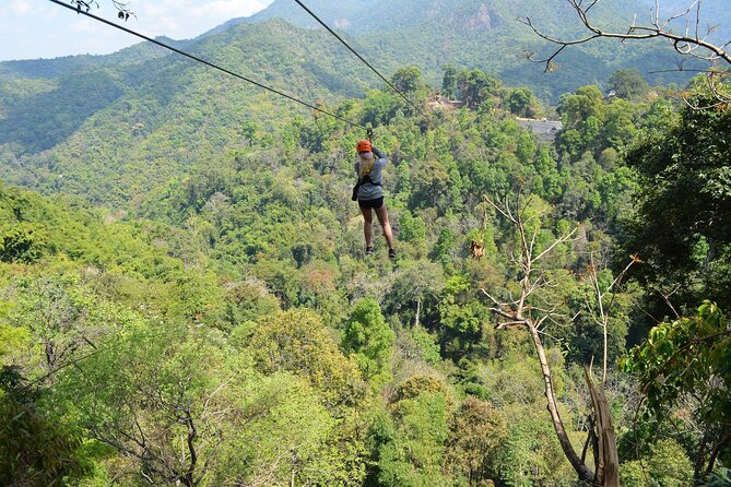 Zipline Adventure at Skyline Jungle Luge Chiang Mai - The short nature trail: the guided facts that make the jungle feel real