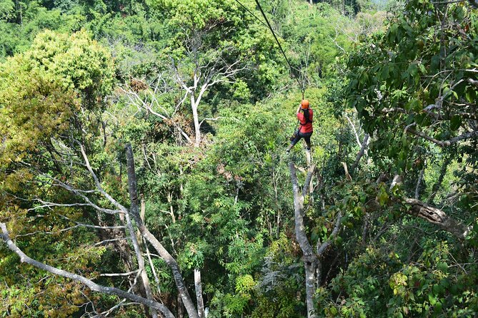 Zipline Adventure at Skyline Jungle Luge Chiang Mai - Lunch in the middle of the adrenaline: buffet food, views, and what to expect